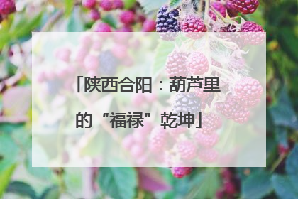 陕西合阳：葫芦里的“福禄”乾坤