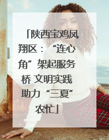 陕西宝鸡凤翔区：“连心角”架起服务桥 文明实践助力“三夏”农忙