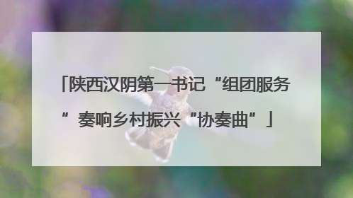 陕西汉阴第一书记“组团服务”奏响乡村振兴“协奏曲”