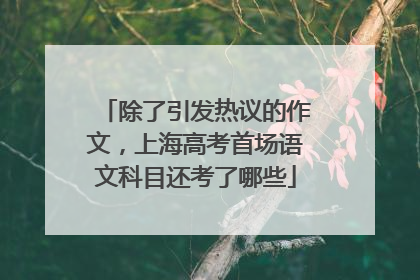 除了引发热议的作文，上海高考首场语文科目还考了哪些