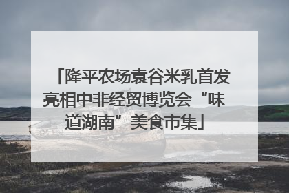 隆平农场袁谷米乳首发亮相中非经贸博览会“味道湖南”美食市集