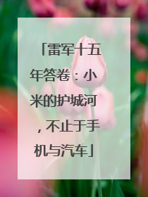 雷军十五年答卷：小米的护城河，不止于手机与汽车