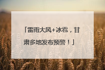 雷雨大风+冰雹，甘肃多地发布预警！