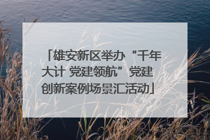 雄安新区举办“千年大计 党建领航”党建创新案例场景汇活动