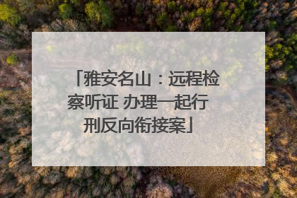 雅安名山：远程检察听证 办理一起行刑反向衔接案