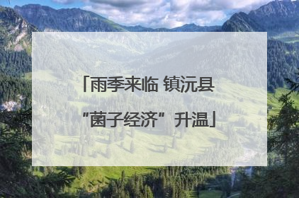 雨季来临 镇沅县“菌子经济”升温