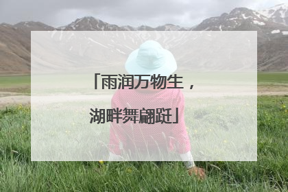 雨润万物生，湖畔舞翩跹