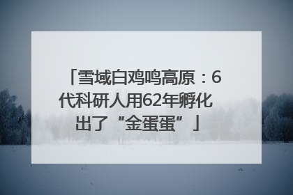 雪域白鸡鸣高原：6代科研人用62年孵化出了“金蛋蛋”