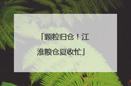 颗粒归仓！江淮粮仓夏收忙