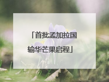 首批孟加拉国输华芒果启程