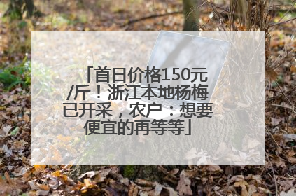 首日价格150元/斤！浙江本地杨梅已开采，农户：想要便宜的再等等