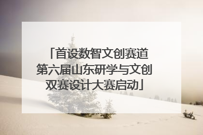 首设数智文创赛道 第六届山东研学与文创双赛设计大赛启动