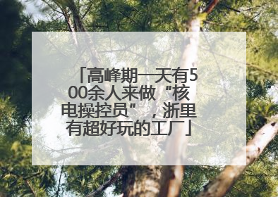 高峰期一天有500余人来做“核电操控员”，浙里有超好玩的工厂