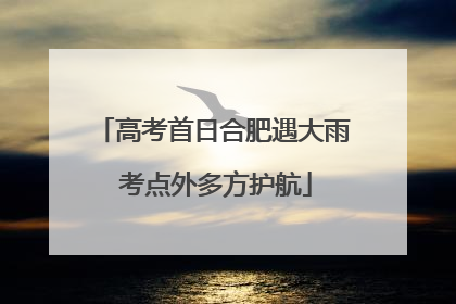高考首日合肥遇大雨 考点外多方护航