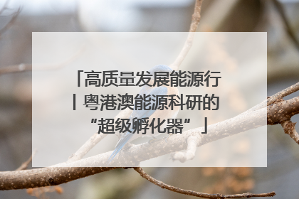 高质量发展能源行丨粤港澳能源科研的“超级孵化器”