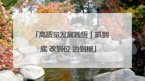 高质量发展践悟｜抓到底 改到位 治到根