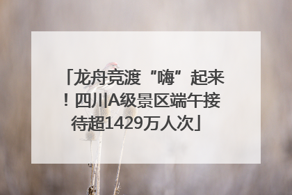 龙舟竞渡“嗨”起来！四川A级景区端午接待超1429万人次