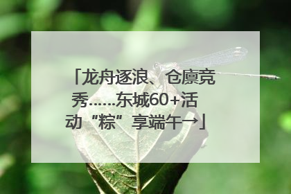 龙舟逐浪、仓廪竞秀……东城60+活动“粽”享端午→