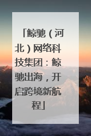 鲸驰（河北）网络科技集团：鲸驰出海，开启跨境新航程