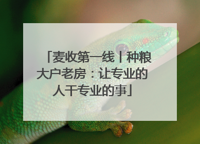 麦收第一线丨种粮大户老房：让专业的人干专业的事