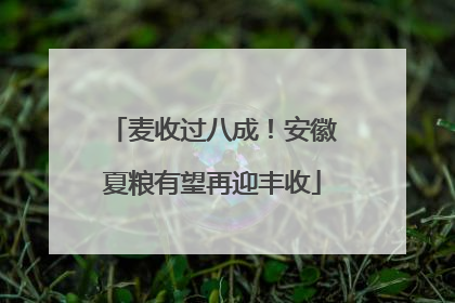 麦收过八成！安徽夏粮有望再迎丰收