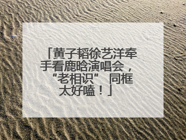 黄子韬徐艺洋牵手看鹿晗演唱会，“老相识” 同框太好嗑！
