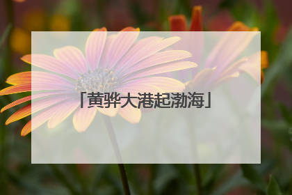 黄骅大港起渤海