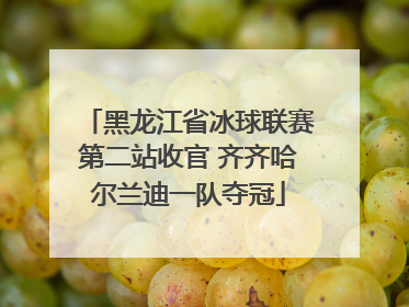 黑龙江省冰球联赛第二站收官 齐齐哈尔兰迪一队夺冠
