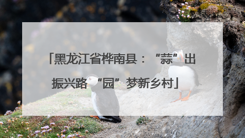 黑龙江省桦南县：“蒜”出振兴路 “园”梦新乡村