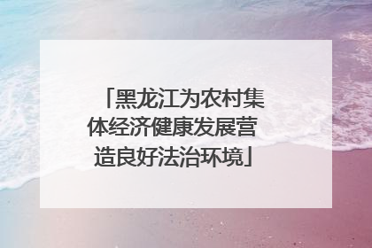 黑龙江为农村集体经济健康发展营造良好法治环境