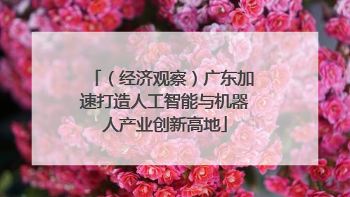 （经济观察）广东加速打造人工智能与机器人产业创新高地