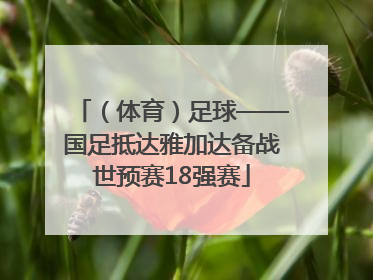 （体育）足球——国足抵达雅加达备战世预赛18强赛
