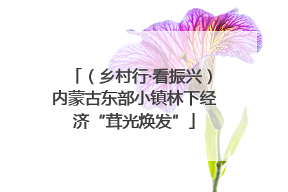 （乡村行·看振兴）内蒙古东部小镇林下经济“茸光焕发”