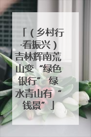 （乡村行·看振兴）吉林辉南荒山变“绿色银行” 绿水青山有“钱景”