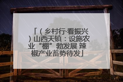（乡村行·看振兴）山西天镇：设施农业“棚”勃发展 辣椒产业蓄势待发