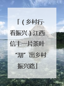 （乡村行·看振兴）江西信丰一片茶叶“沏”出乡村振兴路