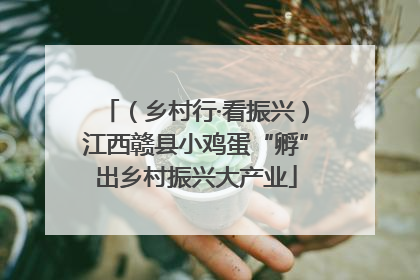 （乡村行·看振兴）江西赣县小鸡蛋“孵”出乡村振兴大产业