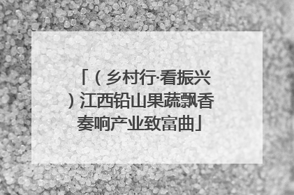 （乡村行·看振兴）江西铅山果蔬飘香 奏响产业致富曲