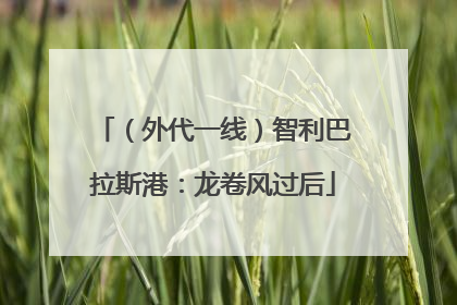 （外代一线）智利巴拉斯港：龙卷风过后