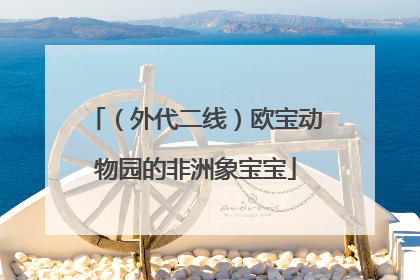 （外代二线）欧宝动物园的非洲象宝宝