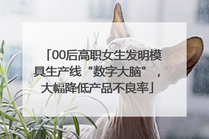 00后高职女生发明模具生产线“数字大脑”，大幅降低产品不良率