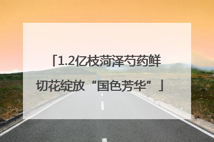 1.2亿枝菏泽芍药鲜切花绽放“国色芳华”