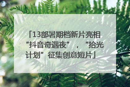 13部暑期档新片亮相“抖音奇遇夜”，“拾光计划”征集创意短片