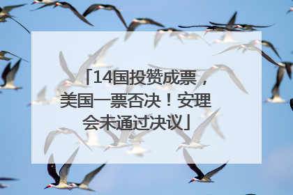 14国投赞成票，美国一票否决！安理会未通过决议