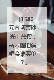 1580元内场票秒光上热搜，岳云鹏的演唱会谁买单？