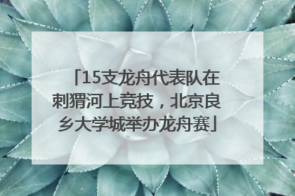 15支龙舟代表队在刺猬河上竞技，北京良乡大学城举办龙舟赛