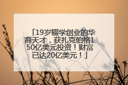 19岁辍学创业的华裔天才，获扎克伯格150亿美元投资！财富已达20亿美元！