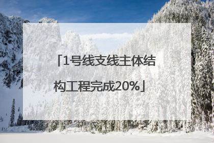 1号线支线主体结构工程完成20%