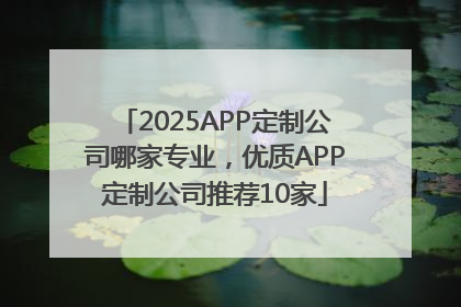 2025APP定制公司哪家专业，优质APP定制公司推荐10家
