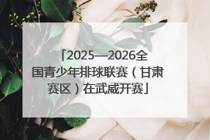 2025—2026全国青少年排球联赛（甘肃赛区）在武威开赛